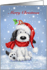 Lovely dog with robin on the Santa’s hat greeting Merry christmas card