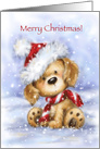 Sweet cute puppy wearing Santa’s hat in snow greeting,Merry Christmas card