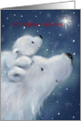Fluffy white polar bear and cub looking at star, Christmas wishes card