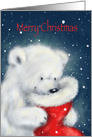 Fluffy white polar bear cub looking into Santa’s sock, Christmas greet card