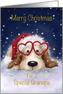 Dog wearing Santa’s hat and heart shaped spectacles,for Grandpa card