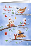 Three happy robins on branches wishing Christmas. card