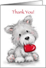 Cute fluffy grey dog sitting with red heart in is mouth, Thank you! card