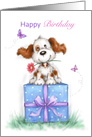 Cute dog with big smile sit on present with red flower, Happy Birthday card