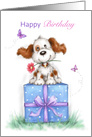 Happy birthday friend,Cute dog sitting on big present with smile card