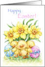 Happy Easter with chicks, painted eggs and daffodils card