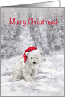 Polar bear with Santa’s hat in snowy woodland, Merry Christmas card