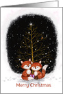 Two cute foxes sitting with present in snow , Merry Christmas card