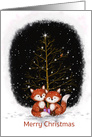 A Fox Couple Sitting with Present in Snow Merry Christmas for Both of You card