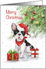French-bulldog with Santa’s hat and presents, Merry Christmas card