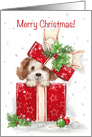 Adorable dog popping up from decorated box, Merry Christmas card