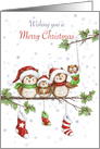 Merry Christmas from Cute Owl Family with Santa’s Hat on Branch card