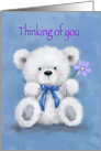 Thinking of you, Fluffy White Cute Bear Holding Lilac Color Flower card