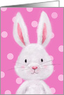 Blank Any Occasion with Cute Rabbit on Pink Dotted Background card