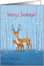 Merry Christmas and a Happy New Year, Deer and Fawn in Snowy Forest card