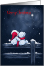 Merry Christmas with Love, Polar Bears Sitting and Watching a Star card