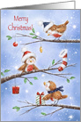 Merry Christmas to Colleague, Three Cute Robins on Branches in Snow card