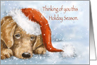 Remembrance Holiday Season, Dog with Sad Eyes Wishing You Peace card