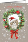 Merry Christmas, Cute Cat Popping from Wealth card