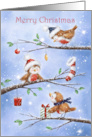 Merry Christmas Robins Greeting on Branches card
