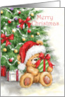 Merry Christmas Bear Holding Present in front of Christmas Tree card