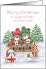 Christmas to Brother and Sister in Law Bear Couple on Bench card