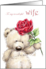 Happy Birthday to Wife Cute Bear Holding a Beautiful Rose card