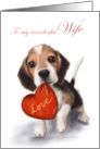 Valentine’s Day to Wife Cute Dog with Red Heart card