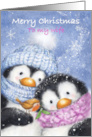 Merry Christmas my Wife Penguin Couple with Robin card