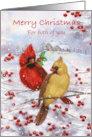 Merry Christmas Both of You Cardinal Couple on Berry Branch card