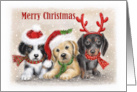 Merry Christmas Three Puppies card