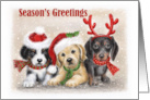 Season’s Greetings Three Puppies card