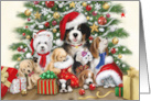 Merry Christmas from Dogs and Cats card