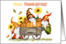 Thanksgiving with Gnomes and Pumpkins card
