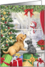 Merry Christmas Dog and Cat at Window card