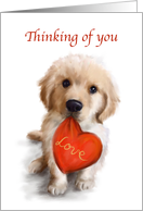 Thinking of You Cute Dog with Red Heart with love card