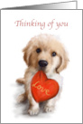 Thinking of You Cute Dog with Red Heart with love card