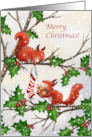 Squirrels Gift Merry Christmas for Friend card