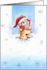 Christmas bear card