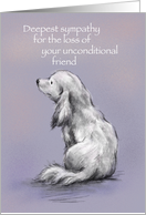 Sorry for a loss of your dog,deepest sympathy card. card