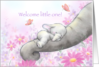 Baby elephant asleep on mom’s trunk,new baby congratulations. card