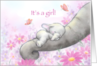 Baby elephant asleep on mom’s trunk,congratulations on new baby girl. card