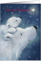 Polar bear cub on back of mother looking at star, Merry Christmas. card