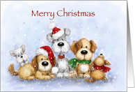A cute group of dogs greeting for Christmas card