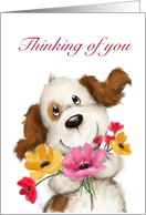 A cute dog with colorful flowers for thinking of you. card