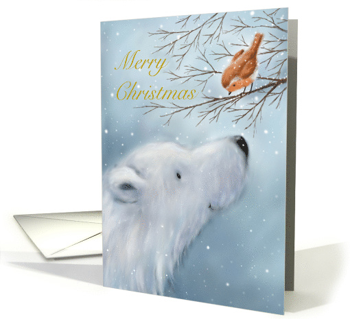 Furry white polar bear looking at cute robin on tree,... (1486246)
