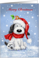 Lovely dog with robin on the Santa’s hat greeting Merry christmas card