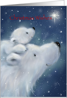 Fluffy white polar bear and cub looking at star, Christmas wishes card