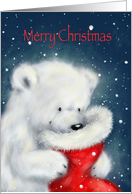 Fluffy white polar bear cub looking into Santa’s sock, Christmas greet card