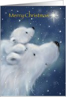 Polar bear and cub on back,Merry Christmas to the best Daddy with love card